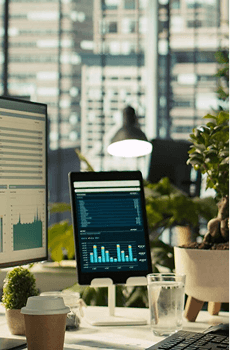 Digital asset management