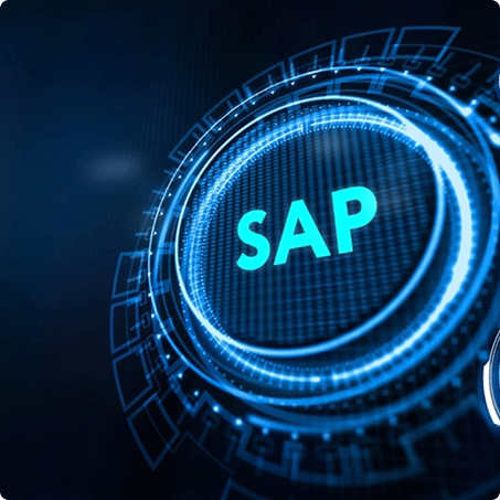 Japanese plastics manufacturer – SAP automation for Vietnamese subsidiary