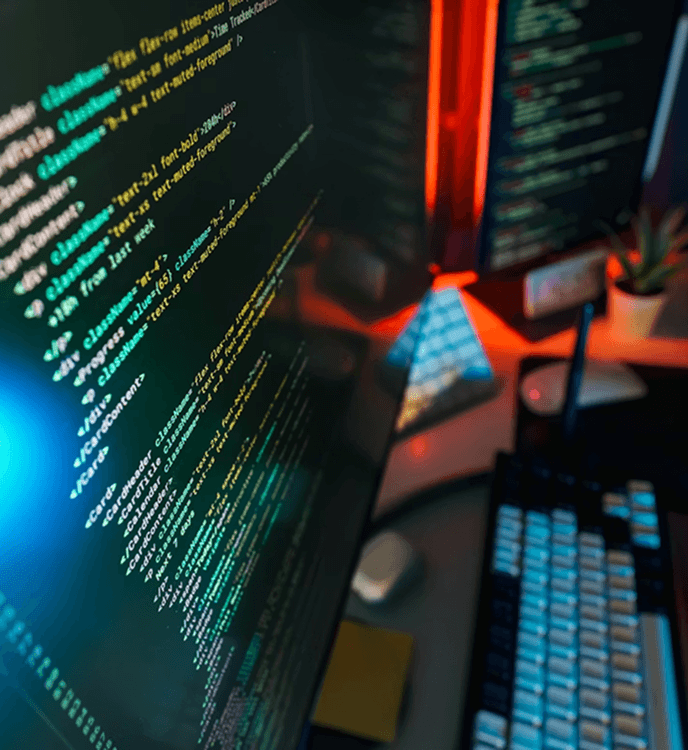 Custom software development