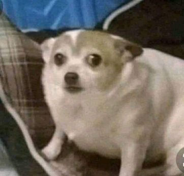 【終了】【WEBセミナー】ようやく仮想通貨以外でも普及してきた、ブロックチェーンの国内事例解説 ~Amazonベストセラー1位『WHY BLOCKCHAIN』の著者、坪井大輔氏が登壇~